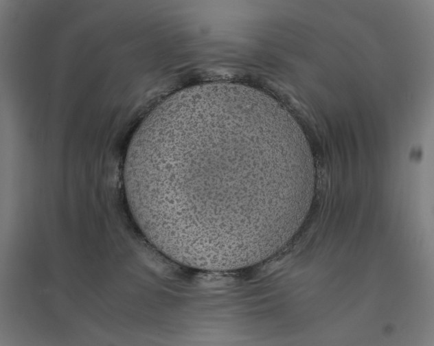 X0000094430331200712061119