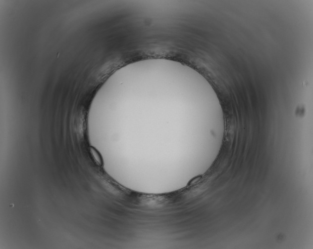 X0000094430334200712061119