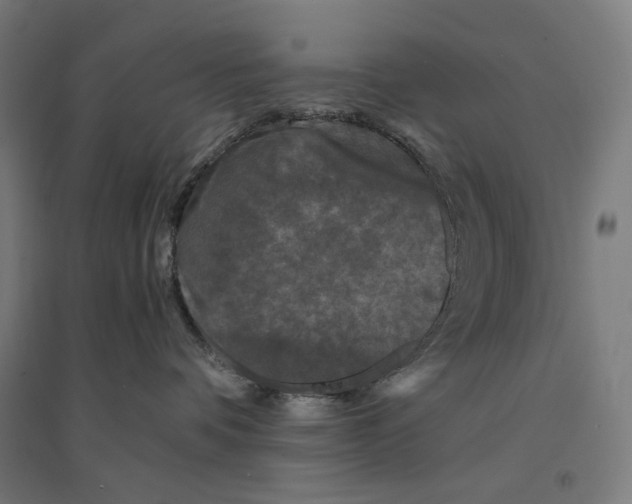 X0000094430336200712061119