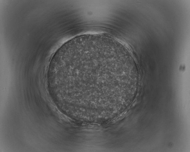 X0000094430337200712061118