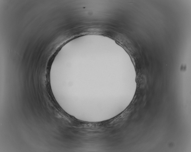 X0000094430338200712061118