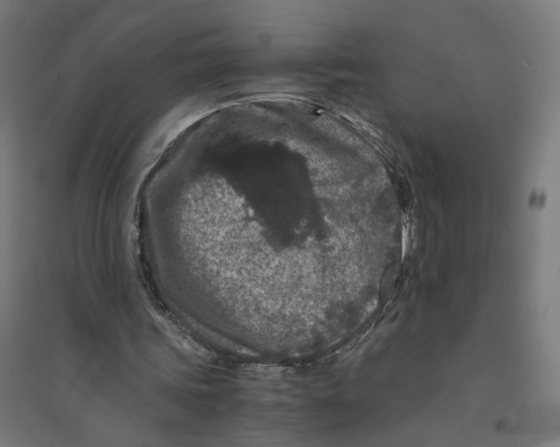 X0000094430339200712061118