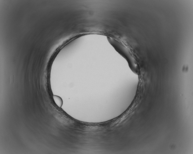 X0000094430342200712061119