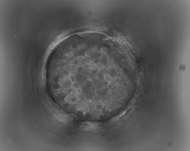 X0000094430343200712061119