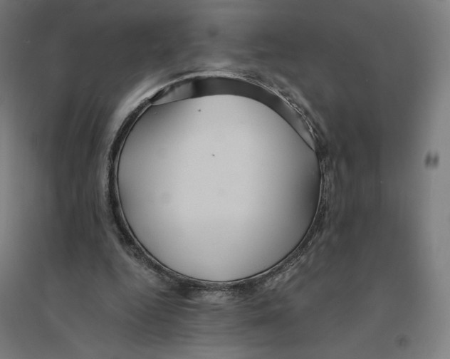 X0000094430344200712061119