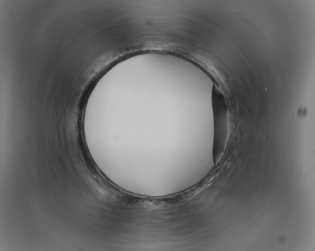 X0000094430346200712061119