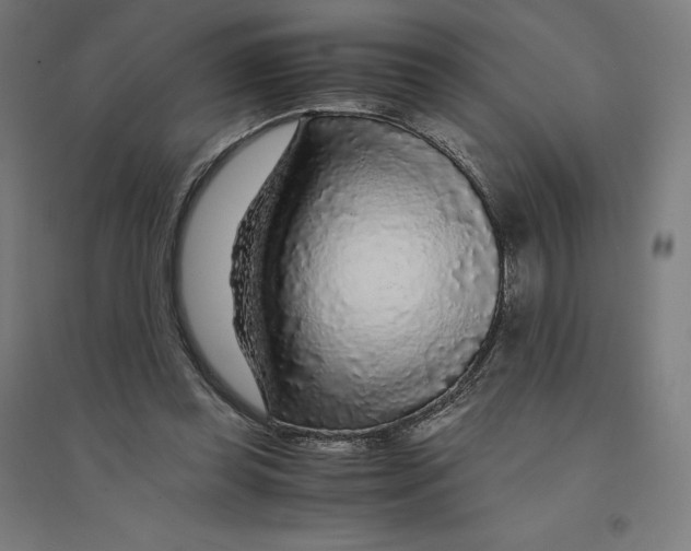 X0000094430349200712061119