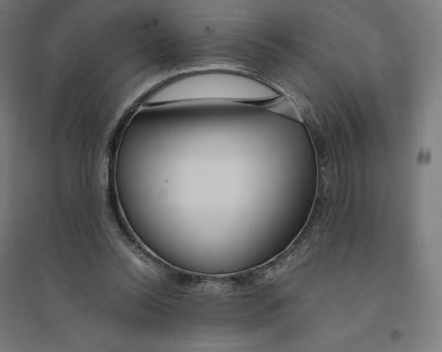 X0000094430350200712061119