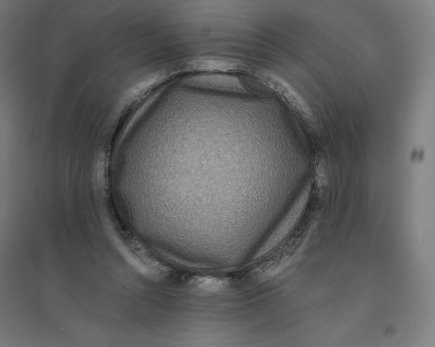 X0000094430352200712061119