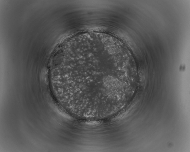 X0000094430357200712061119