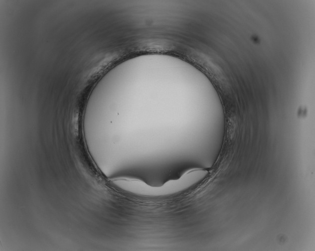 X0000094430358200712061119