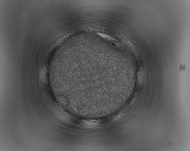 X0000094430359200712061119