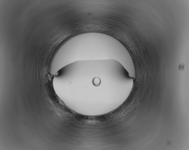 X0000094430360200712061119