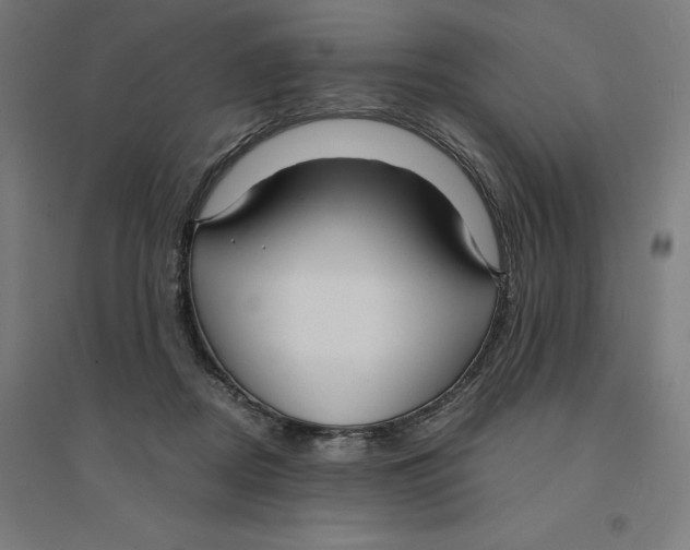 X0000094430362200712061119