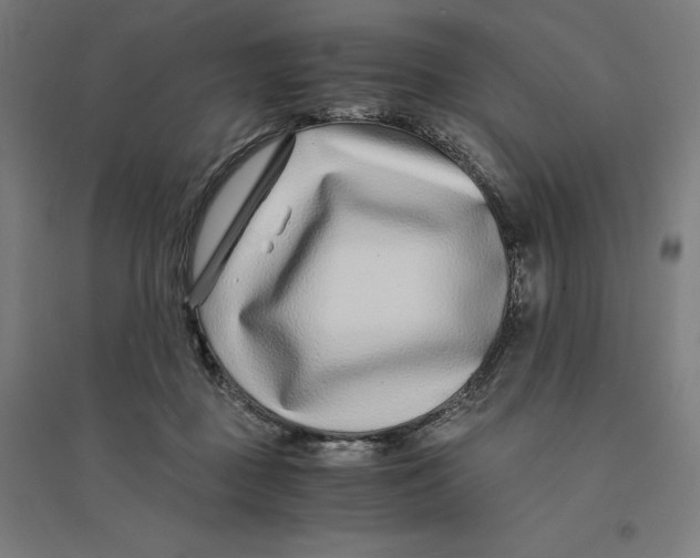 X0000094430363200712061119