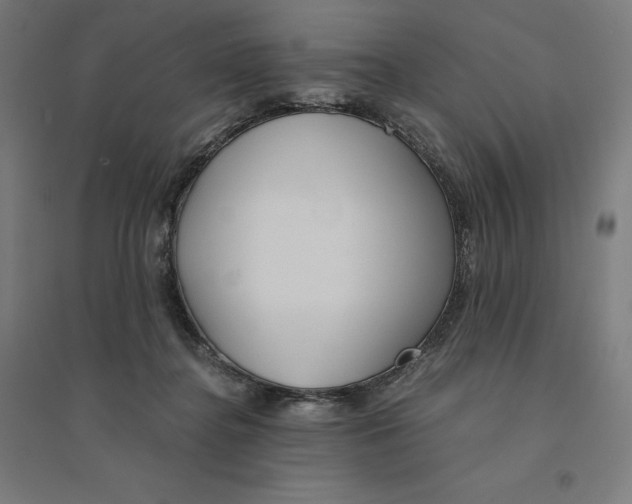 X0000094430364200712061119