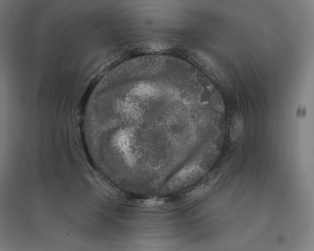 X0000094430366200712061119