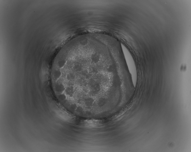 X0000094430367200712061119