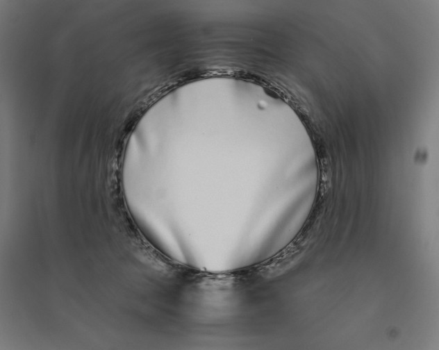 X0000094430369200712061119