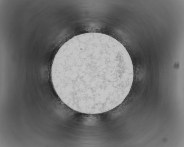 X0000094430370200712061119