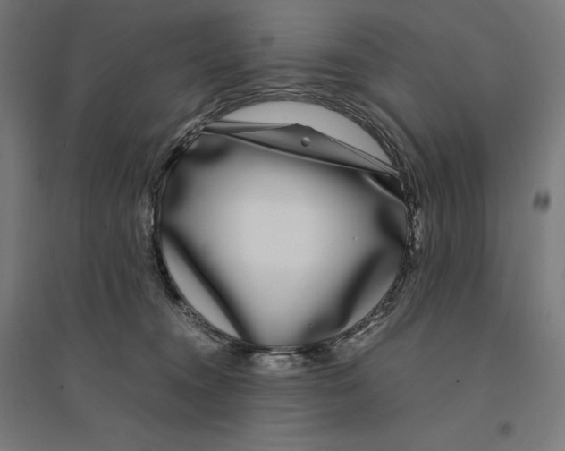 X0000094430372200712061119