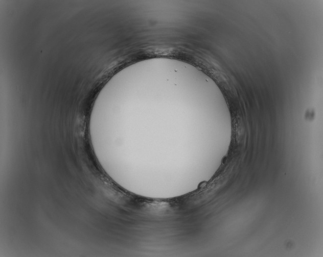 X0000094430374200712061119