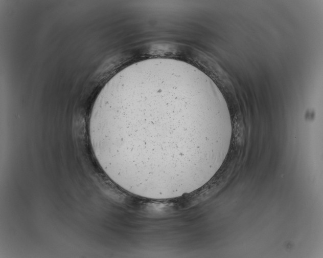 X0000094430375200712061119