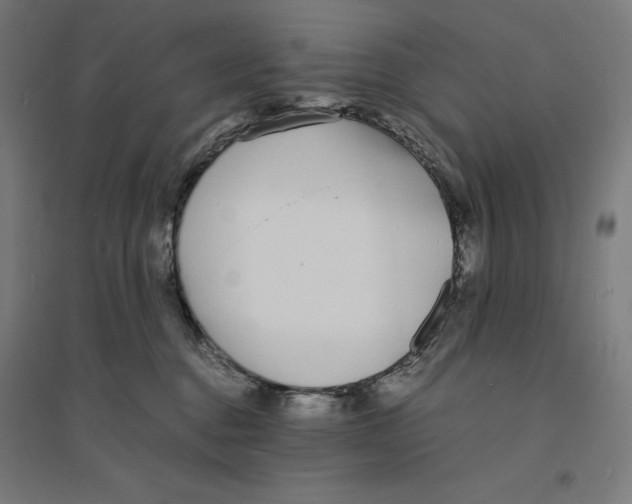 X0000094430376200712061119