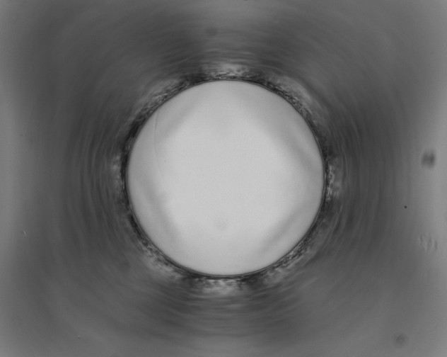 X0000094430377200712061119