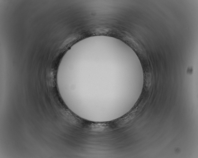 X0000094430378200712061119