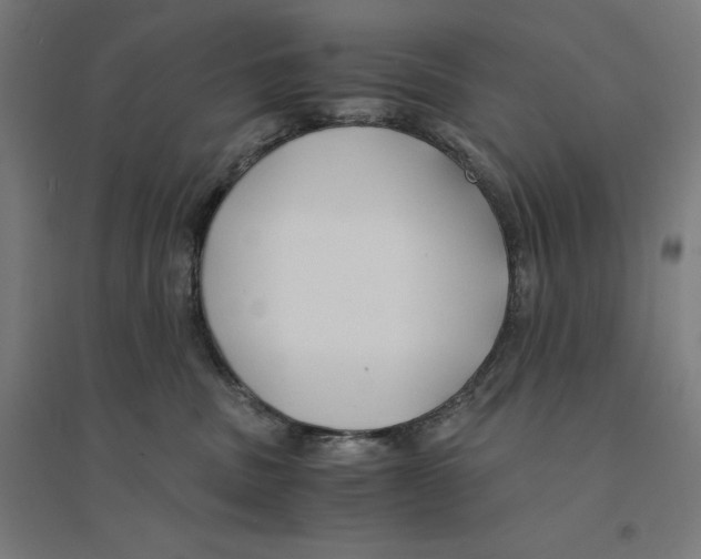 X0000094430379200712061119