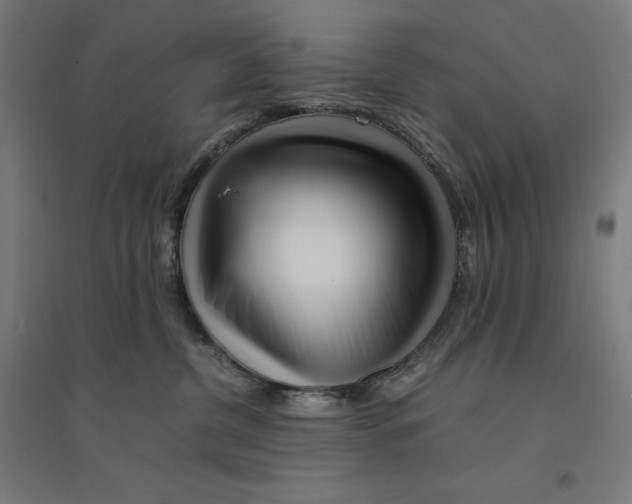 X0000094430380200712061119