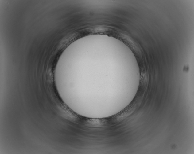 X0000094430381200712061119