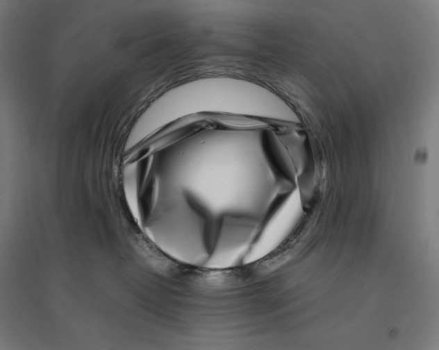 X0000094430382200712061119