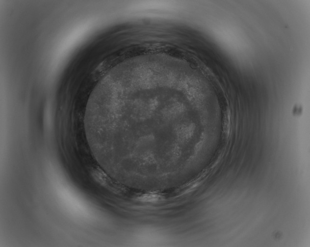 X0000094430383200712061119