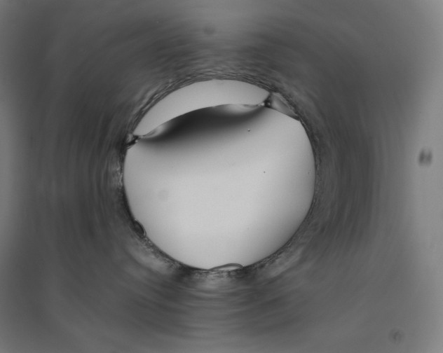 X0000094430384200712061119