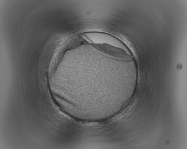 X0000094430385200712061118