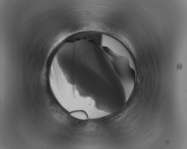 X0000094430388200712061118