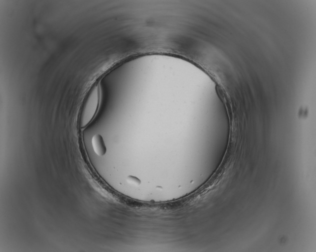 X0000094430389200712061118