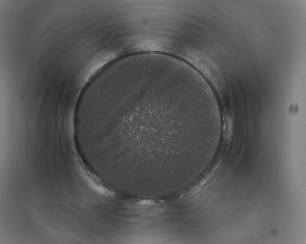 X0000094430390200712061118