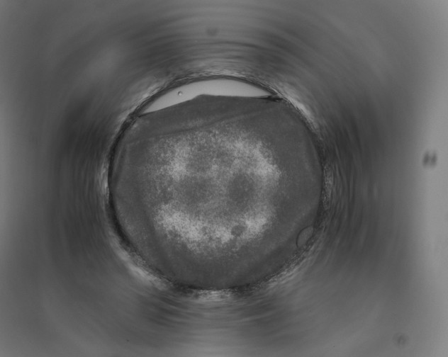 X0000094430398200712061118