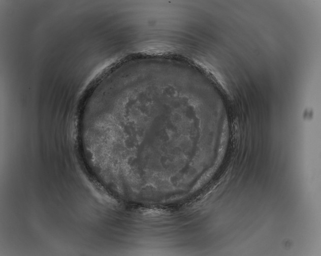 X0000094430400200712061118