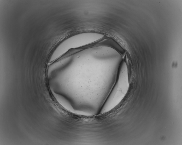 X0000094430401200712061118