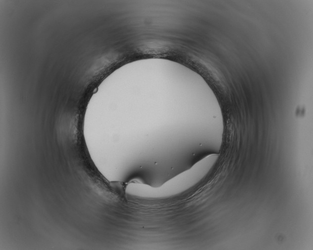 X0000094430404200712061118