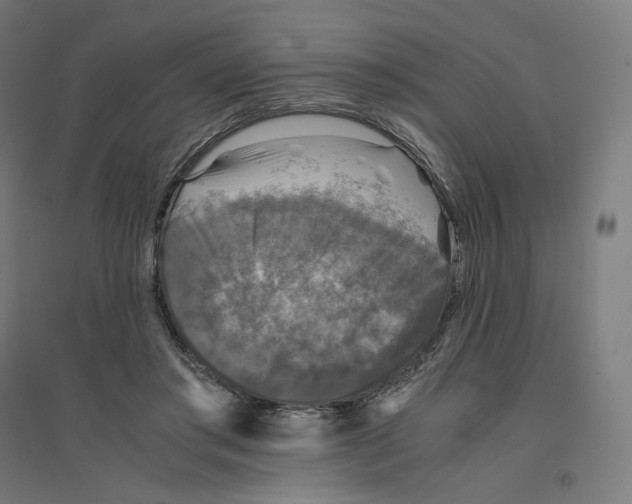 X0000094430405200712061118