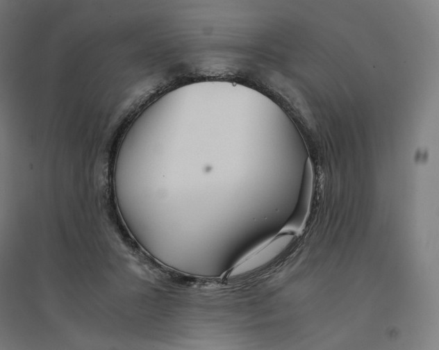 X0000094430407200712061118