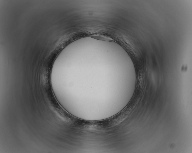 X0000094430408200712061118