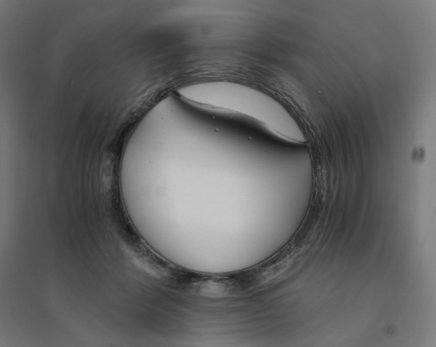 X0000094430412200712061118