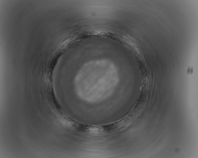 X0000094430415200712061118