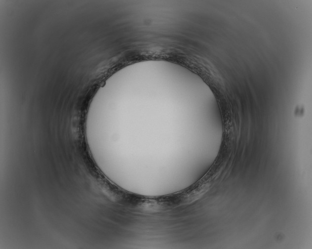 X0000094430416200712061118